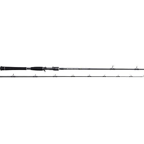 Tenryu spinning rod - spinning, bayblaze