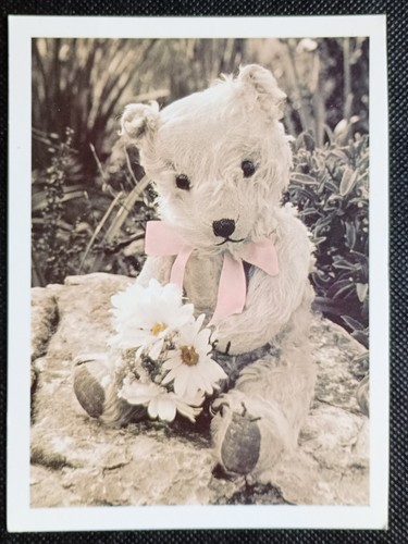 Teddy bear with flowers an - flowers,