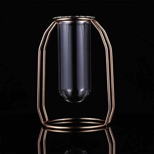 Glass tube vase hydroponics - tube,