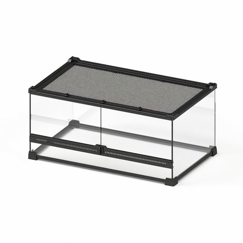 Reptile terrarium - reptile,
