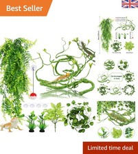 Bearded Dragon Accessories