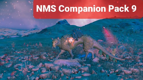 Nms man sky companion - no,
