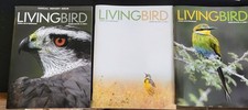 Living Bird Magazine ~ Three