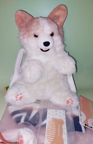 Chongker corgi plush - corgi, novelty