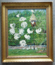 White Fantail Pigeons Doves Displaying in Garden. Frank Boothman 1955 Original