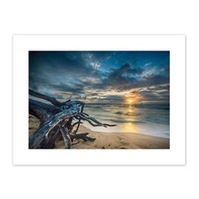 Driftwood Beach Sunset Ocean