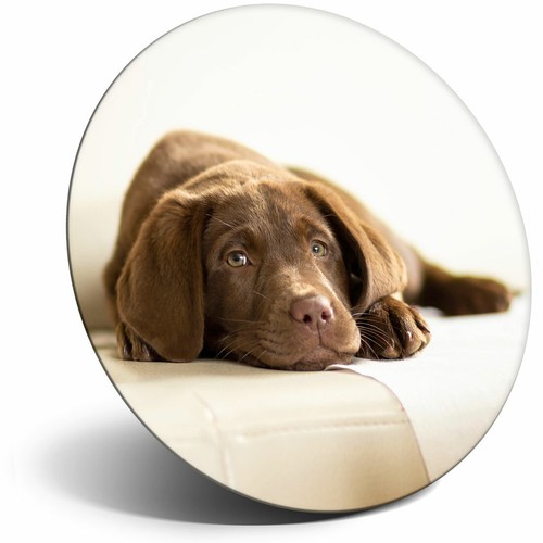 Awesome fridge magnet brown - fridge,