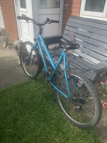 Raleigh calypso ladies bike - raleigh,