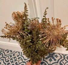 Abigail Ahern Leucospermum
