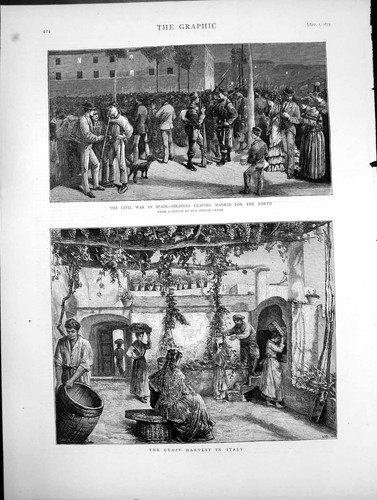 Antique print grape - antique,