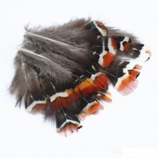 Fire Tiger Lily Feathers 4cm - 7cm Fly Craft Hat Arts Costume Plume UK