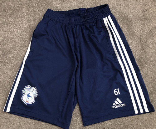 Cardiff city 2019 football - cardiff,