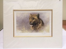 Tony Forrest - Leopard from