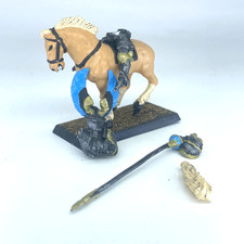 Citadel Mounted Knight - The