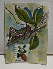 Katydid on Walnut Twig —