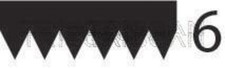 Black V-Ribbed Belt TRISCAN
