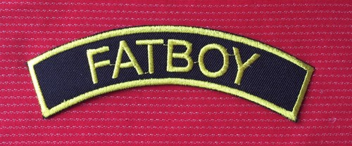 Fatboy triker biker motorcycle - biker,