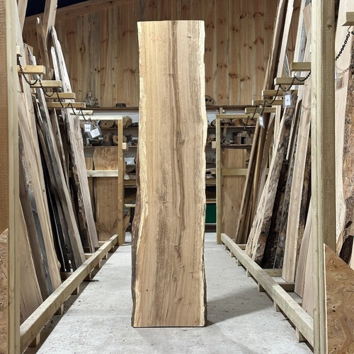 Oak plank board waney live - oak,