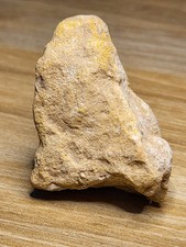 Dinosaur Fossil Kem Kem Formation, Morocco, Theropod Spino? T-Rex? (Ref 8520)