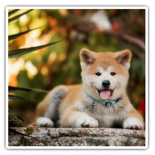 Square stickers cm - square, 10