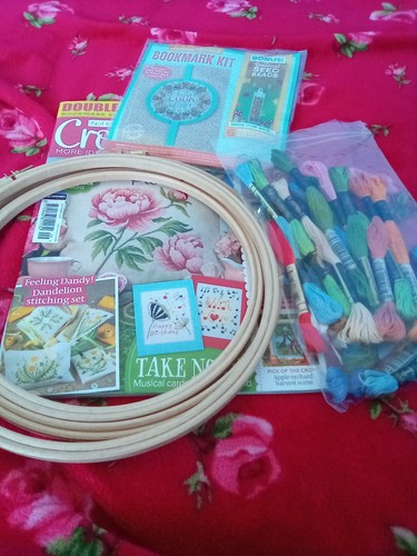 Cross stitcher - cross,
