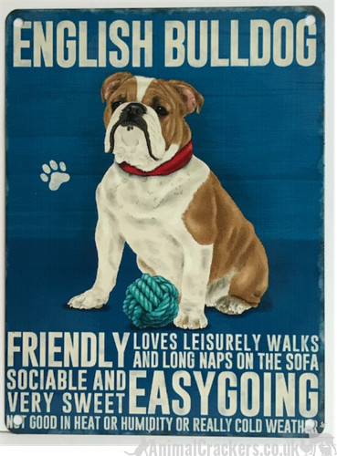 English bulldog metal breed - metal,