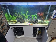 300 Litre Fish Tank
