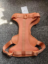 Large Peach No-Pull Westley