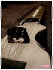 A4 Wall Art Print - Dilruba |