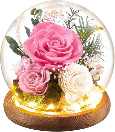 Preserved rose flower gift - gift, in