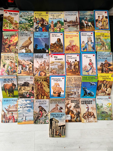 Vintage retro ladybird - retro,