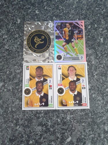 Panini efl stickers - efl, 2026