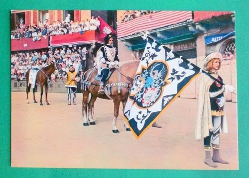 Postcard siena palio - postcard,