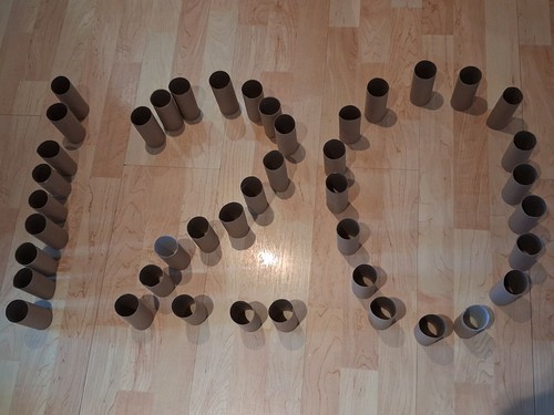 120 toilet roll tubes - 120, arts