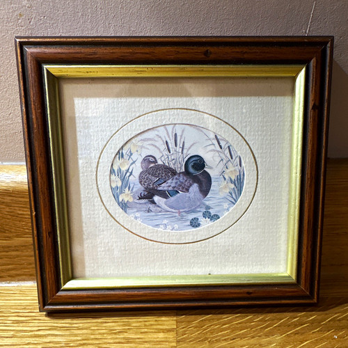 Sharon jervis framed - framed, duck