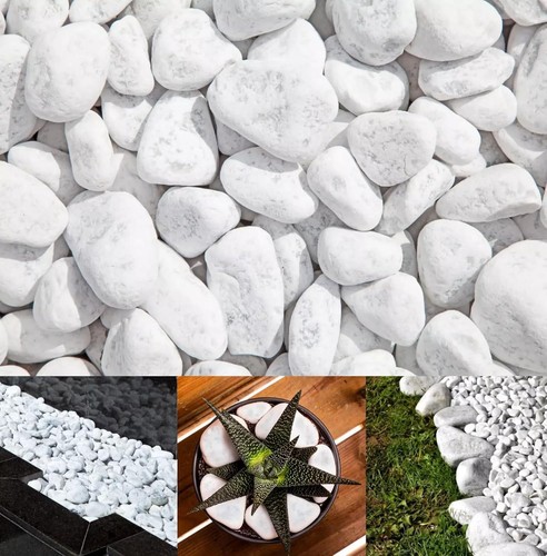 Trans pal carrara decorative - trans,