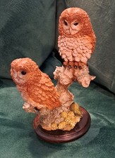 Country Artists Birds    Pair