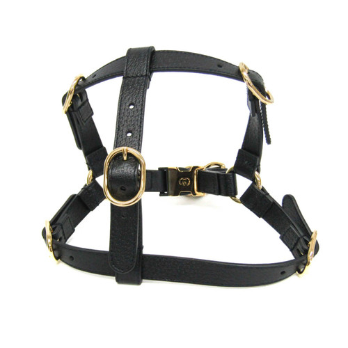 Gucci interlocking pet - interlocking, g