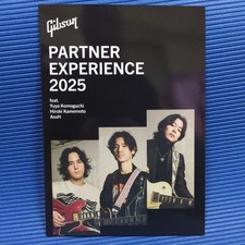 Gibson partner experience - experience, 2025
