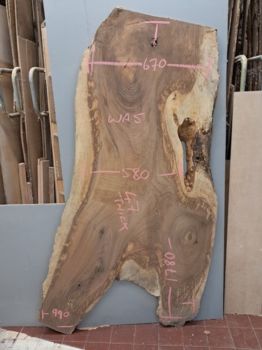 English walnut slab live edge - english,
