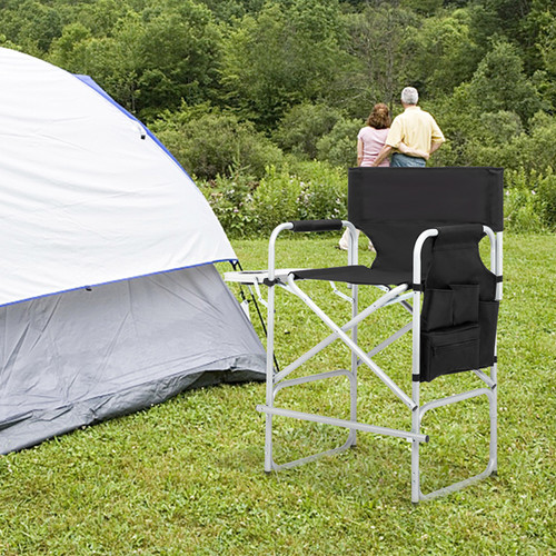 Folding director chair - folding, director's