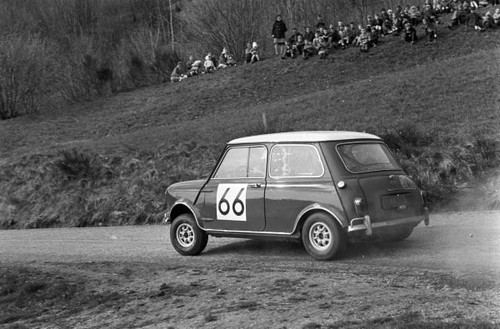 Vernaeve wood mini cooper - m,