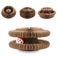 Cat Accordion Magic Organ Cat