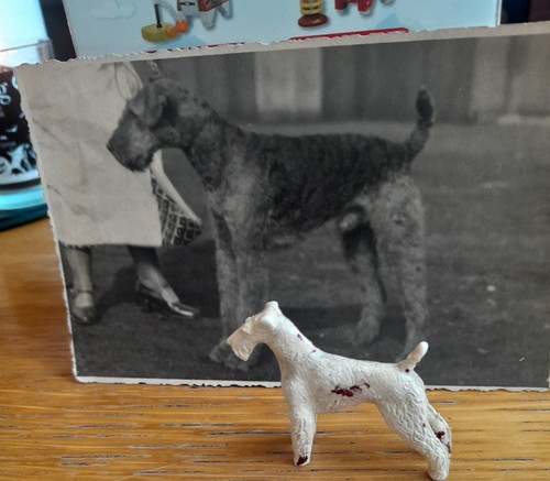 Airedale terrier vintage dog - airedale,