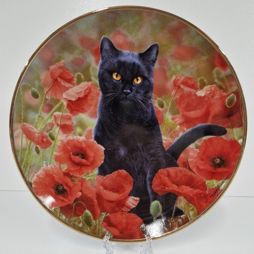 Poppy simon mendez black - by,