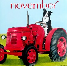 Border Collie On Tractor