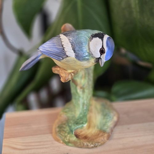 Crown staffordshire blue tit - staffordshire,