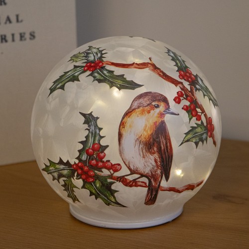 Christmas robin light glass - light,