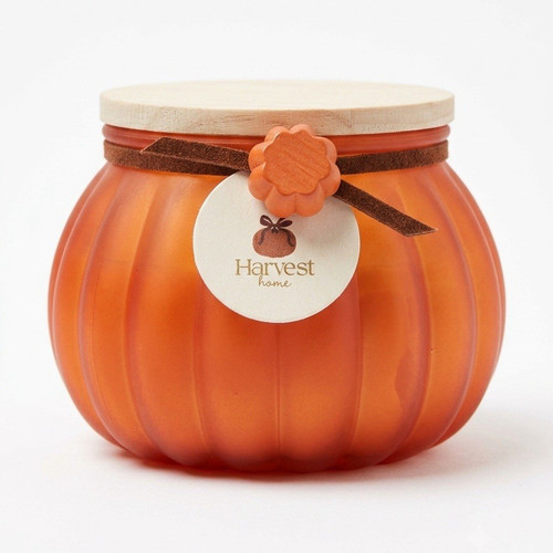 Harvest home pumpkin - pumpkin, &