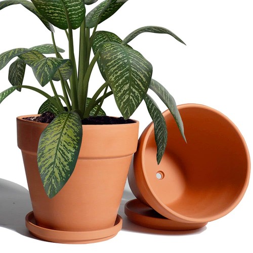 Inch clay plant pot with - inch,